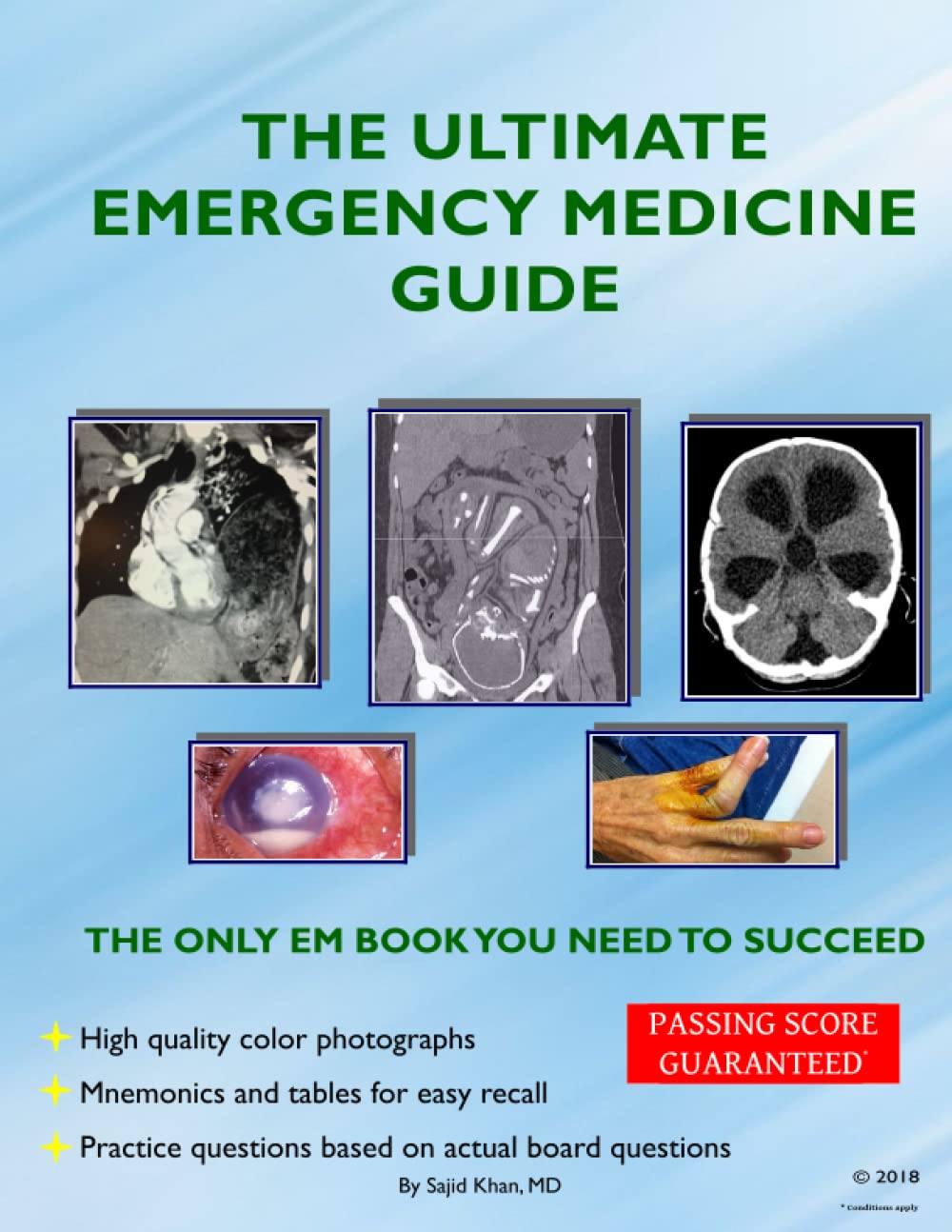 The Ultimate Emergency Medicine Guide: The only EM book you need to succeed (Digital Download) • D