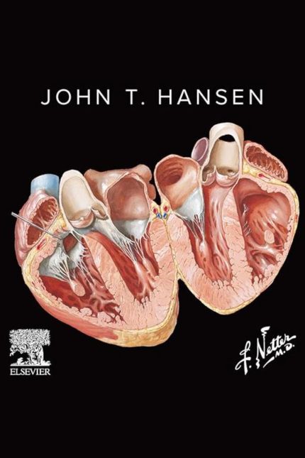 Netter's Anatomy Flash Cards - Ebook